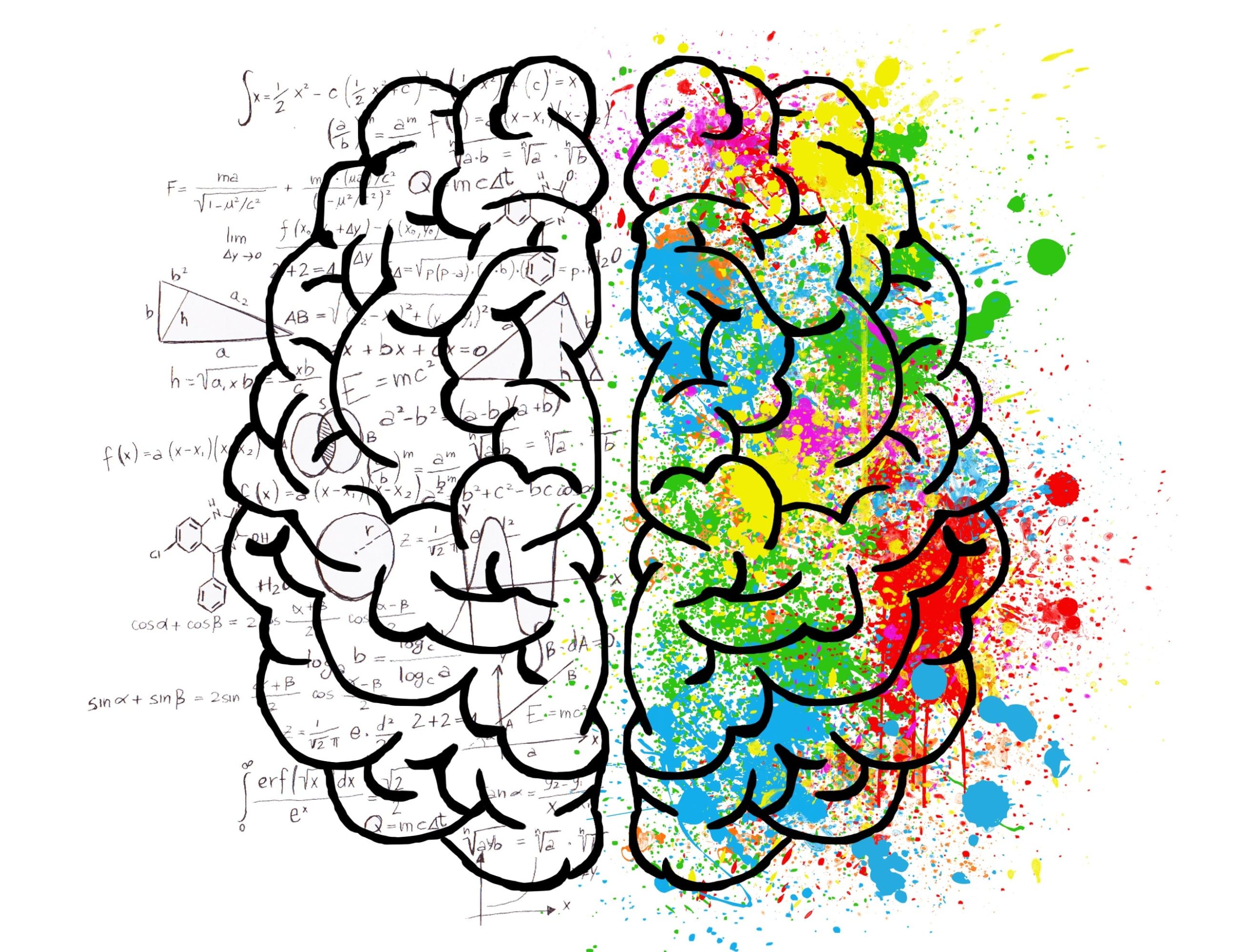Image of brain hemispheres, one side is brightly coloured, the other has equations as the background